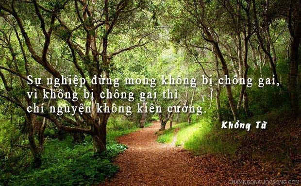 Câu Nói Hay Đậm Tính Nhân Văn Bạn Cần Khắc Ghi 10