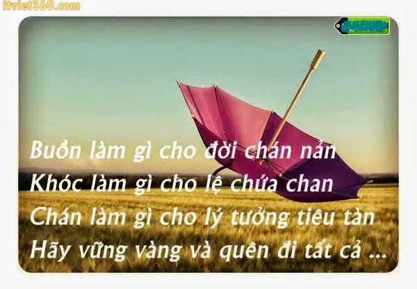 Những Câu Nói Hay Về Tình Yêu Cuộc Sống Chuẩn Không Cần Chỉnh 15