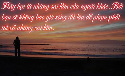 Những Câu Nói Hay Về Tình Yêu Cuộc Sống Chuẩn Không Cần Chỉnh 16