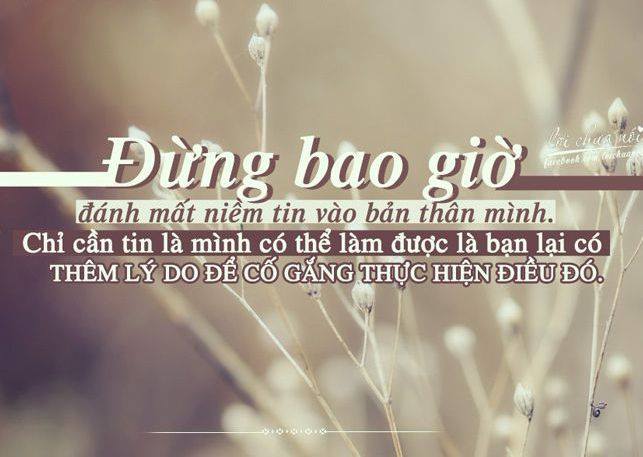 Những Câu Nói Hay Về Cuộc Sống Muôn Màu Cho Bạn Lựa Chọn 9