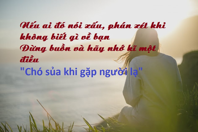 Những Câu Nói Hay Về Cuộc Sống Muôn Màu Cho Bạn Lựa Chọn 10