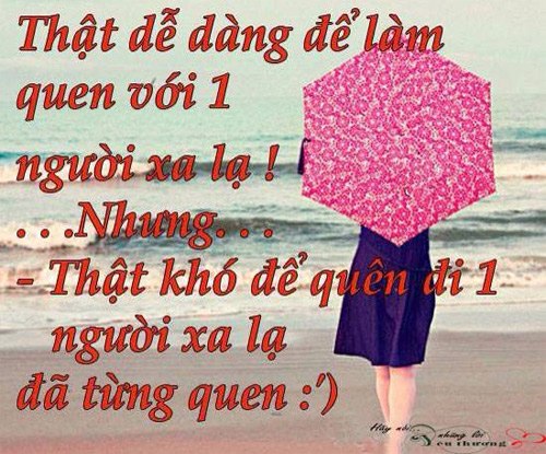 Những Câu Nói Hay Về Tình Yêu Đơn Phương Của Người Con Gái 15