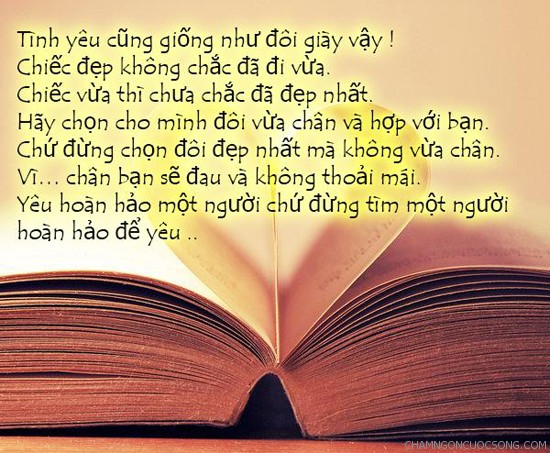 Câu Nói Hay Nhất, Triết Lí Nhất Về Tình Yêu Lứa Đôi 0