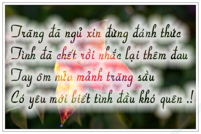 Những Câu Nói Hay Về Tình Yêu Buồn Của Người Con Gái 2