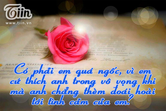 Những Câu Nói Hay Về Tình Yêu Buồn Của Người Con Gái 7