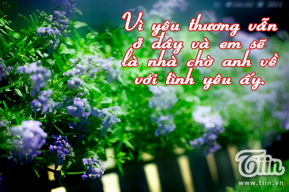 Những Câu Nói Hay Về Tình Yêu Thầm Của Người Con Gái 10