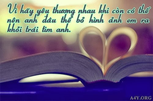Những Câu Nói Hay Về Tình Yêu Thầm Của Người Con Trai 13