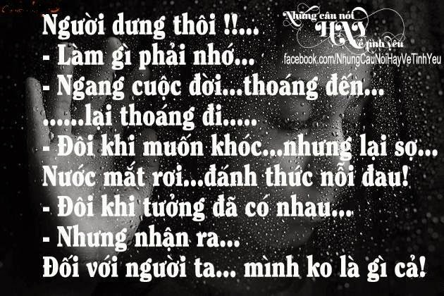 Những Câu Nói Hay Về Tình Yêu Thầm Của Người Con Trai 15