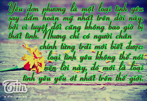 Hình Ảnh Cùng Câu Nói Hay Về Tình Yêu Thầm 7