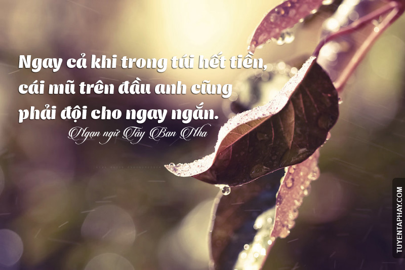 Những Câu Nói Hay Về Cuộc Sống Được Thể Hiện Qua Hình Ảnh Đẹp 5