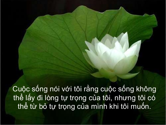 Hình Ảnh Đẹp Cùng Câu Nói Hay Về Cuộc Sống Bạn Khắc Ghi 1