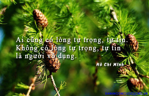 Hình Ảnh Đẹp Cùng Câu Nói Hay Về Cuộc Sống Bạn Khắc Ghi 2