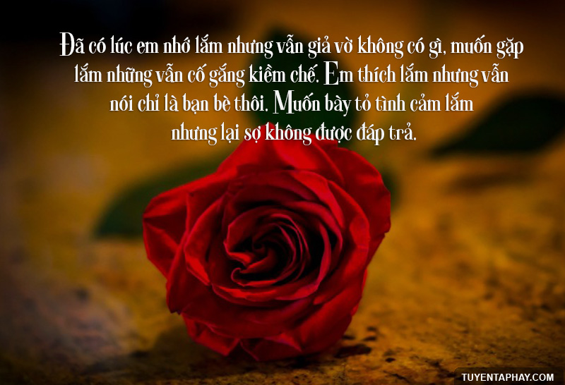 Những Câu Nói Hay Về Tình Yêu Lứa Đôi Bằng Hình Ảnh 3