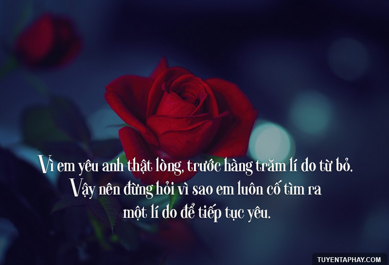Những Câu Nói Hay Về Tình Yêu Lứa Đôi Bằng Hình Ảnh 9