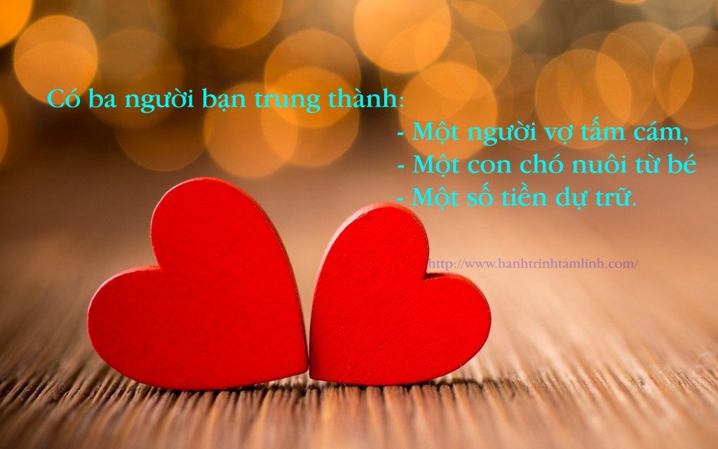 Những Câu Nói Hay Về Tình Yêu Bằng Hình Ảnh 0