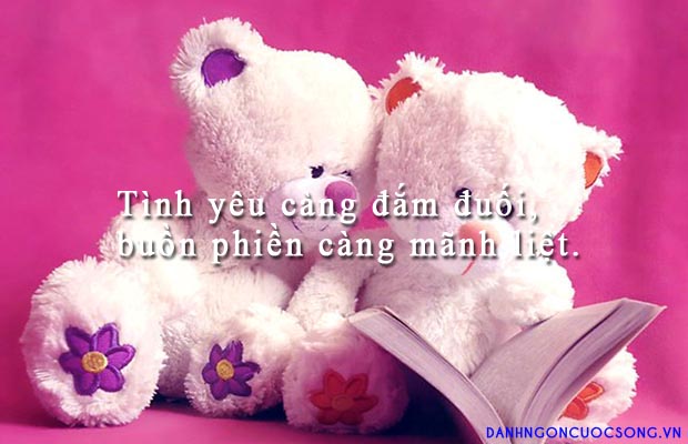Những Câu Nói Hay Về Tình Yêu Bằng Hình Ảnh 12