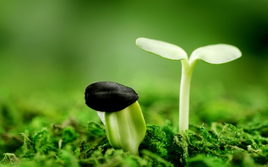 Câu Nói Hay Về Ý Chí Và Nghị Lực Bạn Cần Chia Sẻ 2
