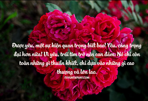 Hình Ảnh Cho Những Câu Nói Hay Về Tình Yêu 7