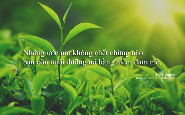 NHỮNG CÂU NÓI HAY VỀ CUỘC SỐNG NHÂN VĂN THẤM THÍA BẬC NHẤT 0