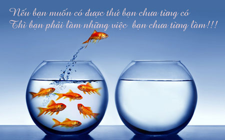 Những Câu Nói Hay Về Cuộc Sống Muôn Màu Bằng Hình Ảnh 10
