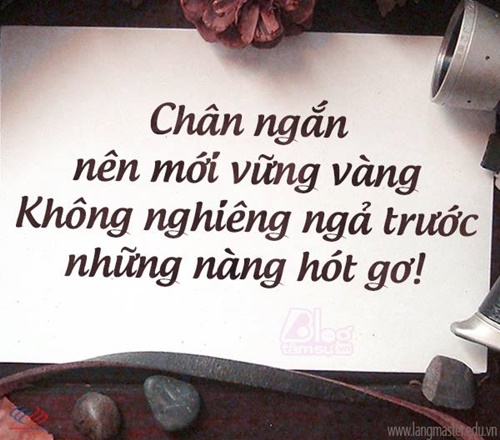 Hình Ảnh Hài Hước Cho Những Câu Nói Hay Về Cuộc Sống Hôn Nhân 12