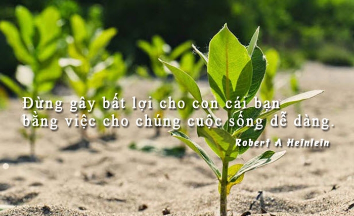 Những Câu Nói Hay Về Cuộc Sống Nhân Văn Sâu Lắng 4