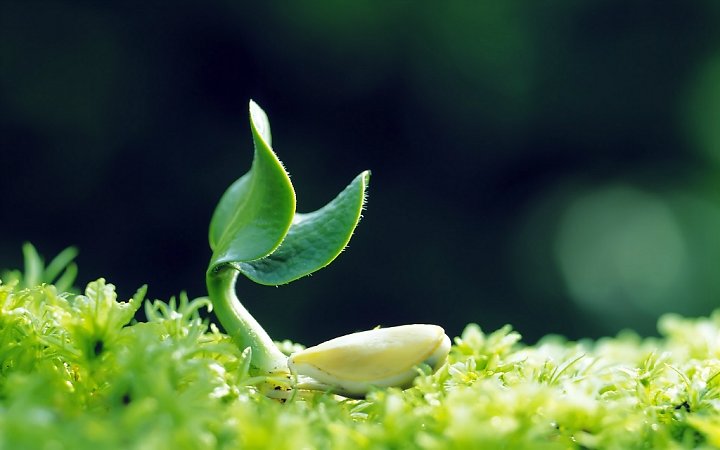 Những Câu Nói Hay Về Cuộc Sống Dối Trá Bạn Nên Đề Phòng 4