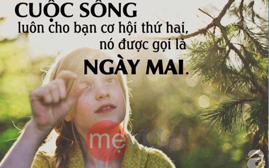 Những Câu Nói Hay Về Cuộc Sống Và Sự Nghiệp Cho Bạn Cho Tôi 4