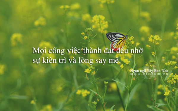Những Câu Nói Hay Về Cuộc Sống Và Tình Yêu Làm Tim Lay Động 2