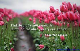Danh Ngôn Tình Bạn Hay – Điều Quý Giá Cho Mỗi Chúng Ta 2