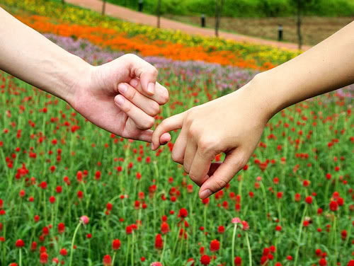Danh Ngôn Tình Bạn Hay – Điều Quý Giá Cho Mỗi Chúng Ta 4