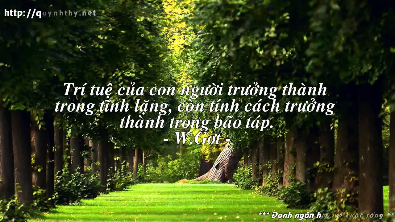 Danh Ngôn Hay Về Cuộc Sống – Điều Lí Tưởng Cho Bạn 6