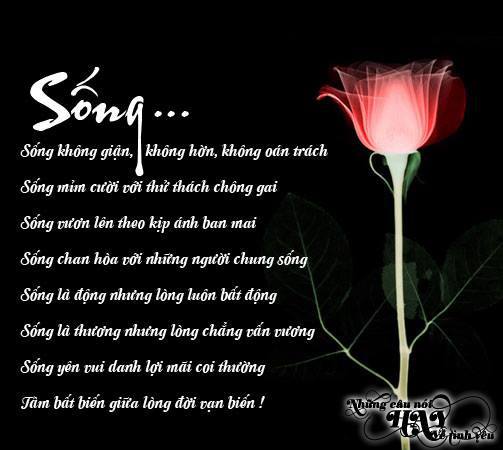 Tuyển Chọn Những Câu Danh Ngôn Về Cuộc Sống Hay Nhất 7