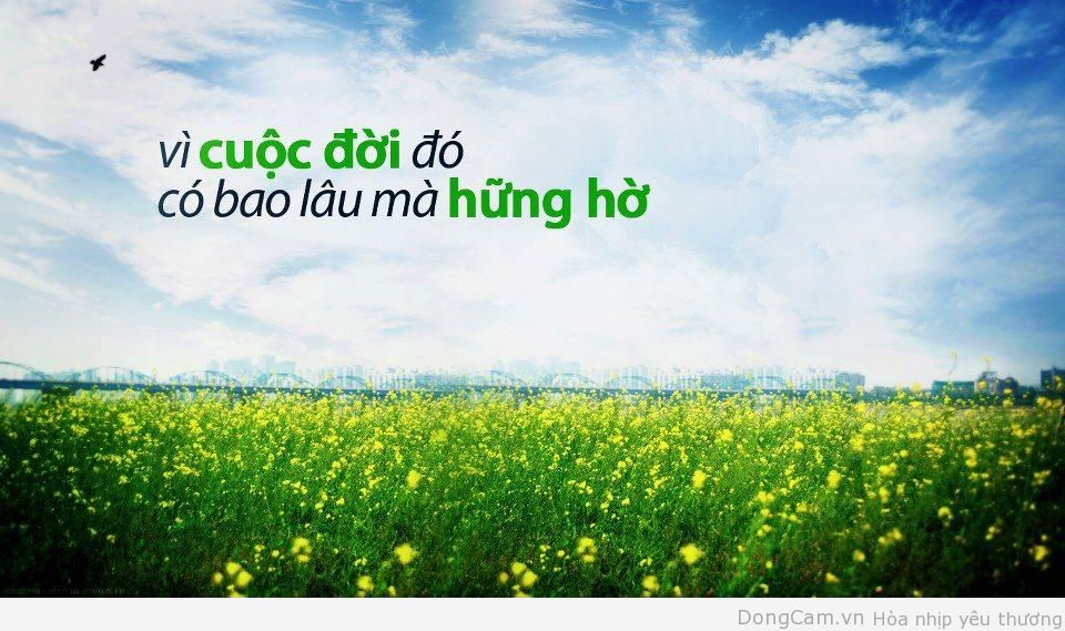 Cảm Nhận Những Câu Danh Ngôn Hay Nhất Về Cuộc Sống 6