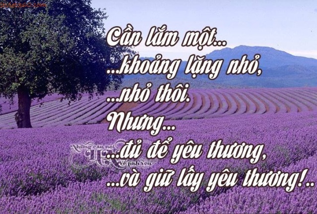 Những Câu Danh Ngôn Tình Yêu Nổi Tiếng Trên Thế Giới 6