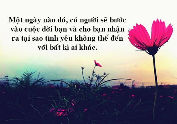 Những Câu Danh Ngôn Ý Nghĩa Nhất Về Cuộc Sống Bạn Nên Đọc 2
