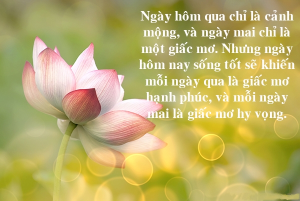 Những Câu Danh Ngôn Ý Nghĩa Nhất Về Cuộc Sống Bạn Nên Đọc 6