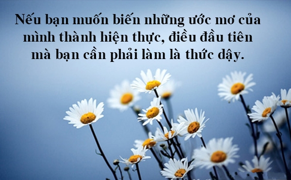 Những Câu Danh Ngôn Ý Nghĩa Nhất Về Cuộc Sống Bạn Nên Đọc 8