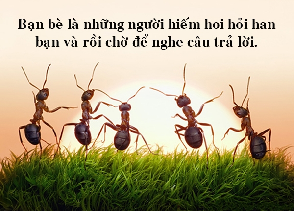 Những Câu Danh Ngôn Ý Nghĩa Nhất Về Cuộc Sống Bạn Nên Đọc 9
