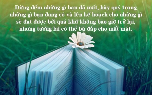 Những Câu Danh Ngôn Ý Nghĩa Nhất Về Cuộc Sống Bạn Nên Đọc 11