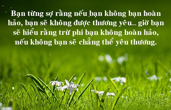 Những Câu Danh Ngôn Ý Nghĩa Nhất Về Cuộc Sống Bạn Nên Đọc 12