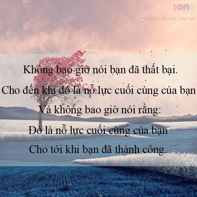 Tổng Hợp Những Stt Hay Bạn Nên Đọc Một Lần Trong Đời 1