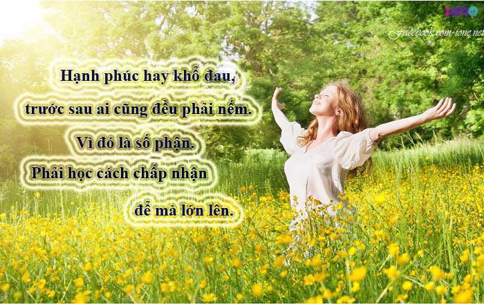 Tổng Hợp Những Stt Hay Bạn Nên Đọc Một Lần Trong Đời 2