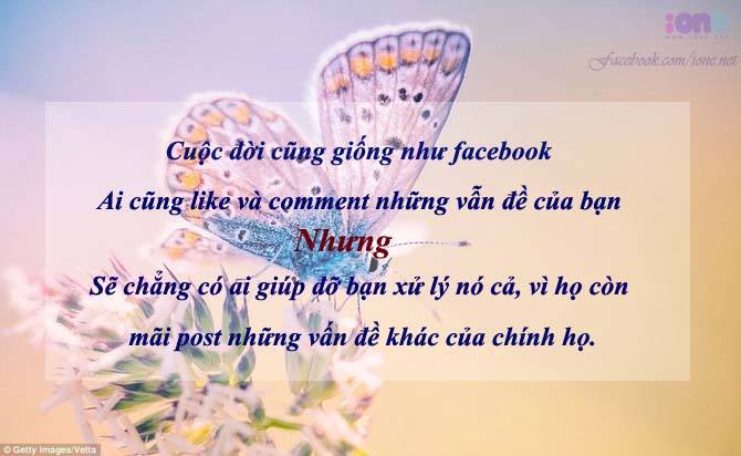 Tổng Hợp Những Stt Hay Bạn Nên Đọc Một Lần Trong Đời 5