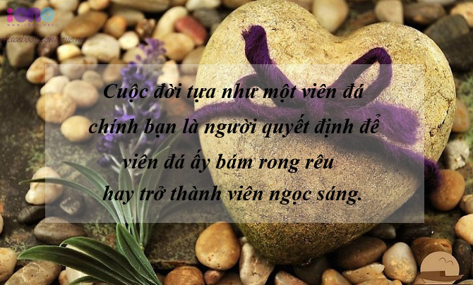 Tổng Hợp Những Stt Hay Bạn Nên Đọc Một Lần Trong Đời 15