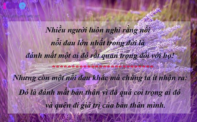 Tổng Hợp Những Stt Hay Bạn Nên Đọc Một Lần Trong Đời 16