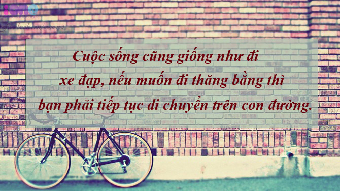 Tổng Hợp Những Stt Hay Bạn Nên Đọc Một Lần Trong Đời 17