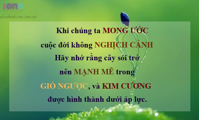 Tổng Hợp Những Stt Hay Bạn Nên Đọc Một Lần Trong Đời 19
