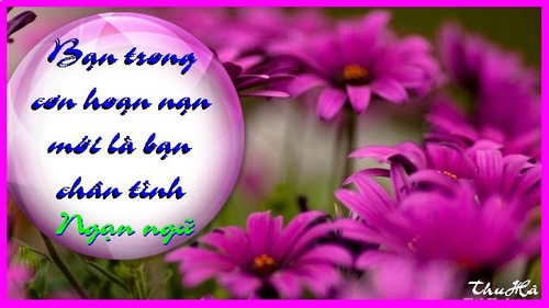 Danh Ngôn Về Tình Yêu Và Cuộc Sống Đáng Trân Trọng 5