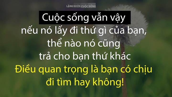 Danh Ngôn Cuộc Sống Hay Dành Cho Những Ai Đang Chán Nản 1